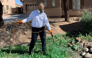 Pest Control Queen Creek AZ