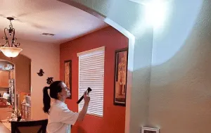 Pest Control Inspections Queen Creek AZ