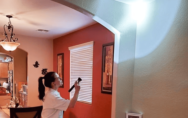 Pest Control Inspections Queen Creek AZ