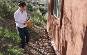 Exterminator Queen Creek AZ