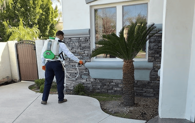 Pest Control Service San Tan Valley Pest Control Service San Tan Valley