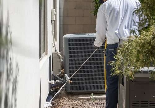 Transforming Troubles into Triumphs: Our San Tan Valley Exterminator Story