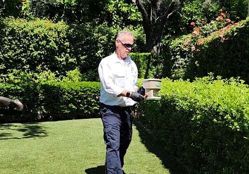 A Job Well Done: Our Pest Control Services in San Tan Valley