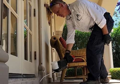 Preventing Termite Damage in Queen Creek: Our Process