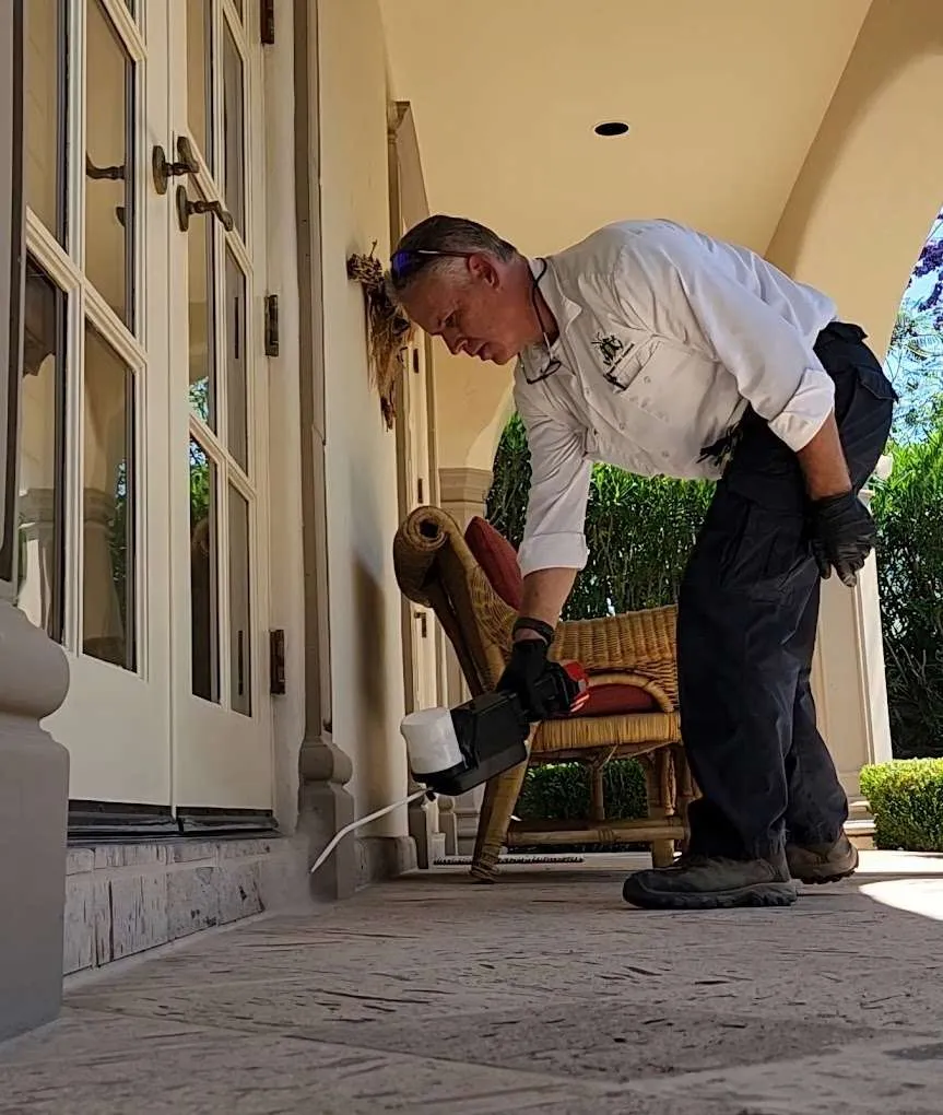 Preventing Termite Damage in Queen Creek: Our Process