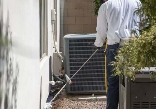 How We Tackled Termites and Scorpions in Arizona Homes