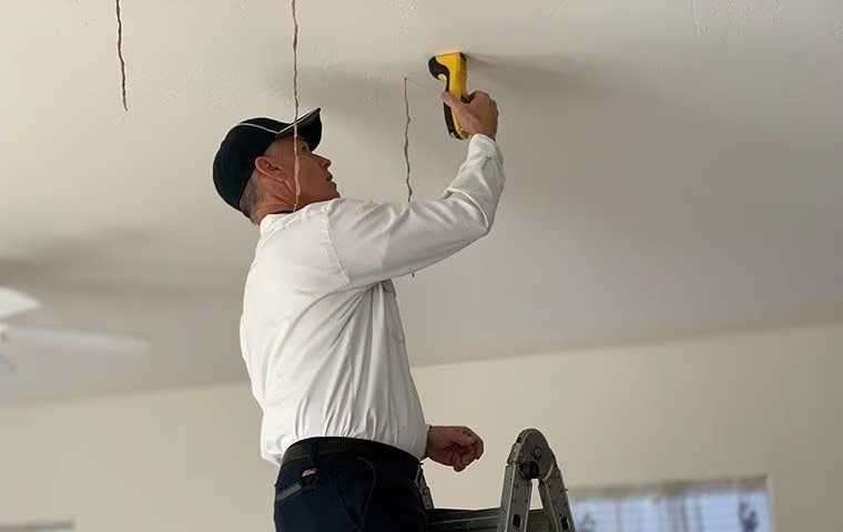 What We Did to Stop Termites in Arizona Houses
