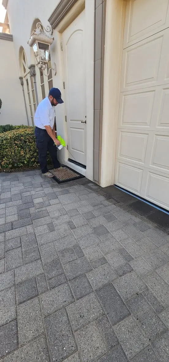 bed bug control