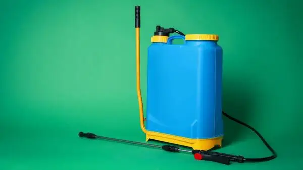 Effective Pest Control Solutions for Arizona Homes