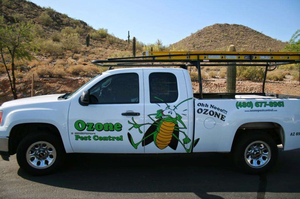 How do termites damage your home?