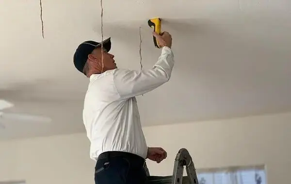 How to Prevent Termite Damage in Queen Creek, AZ