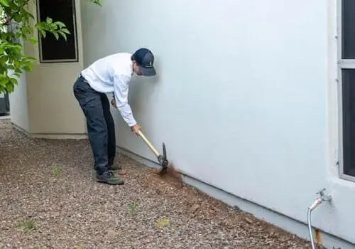 How to Prevent Termites Before They Damage Your Home