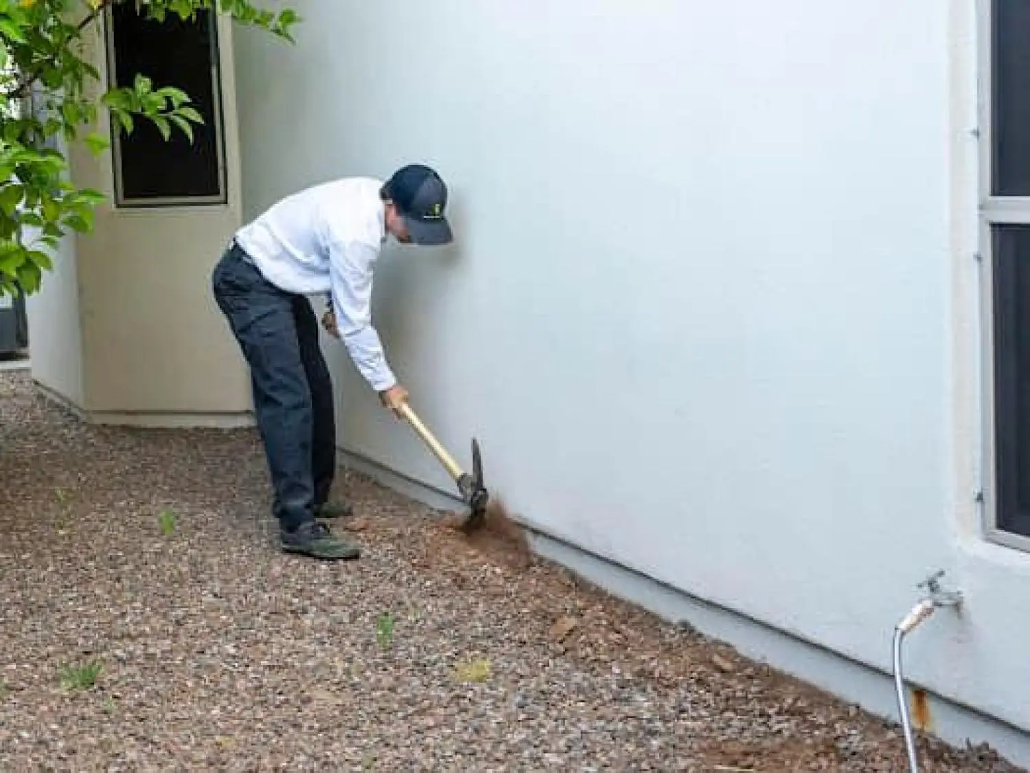 How to Prevent Termites Before They Damage Your Home How to Prevent Termites Before They Damage Your Home