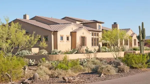 Preventing Common Arizona Pests in Your Home