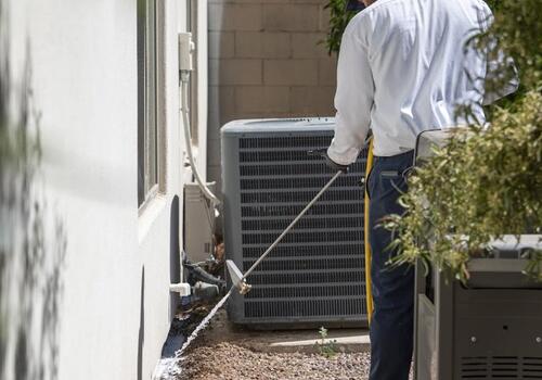 Defending Queen Creek Homes: How We Won the Battle Against Scorpions