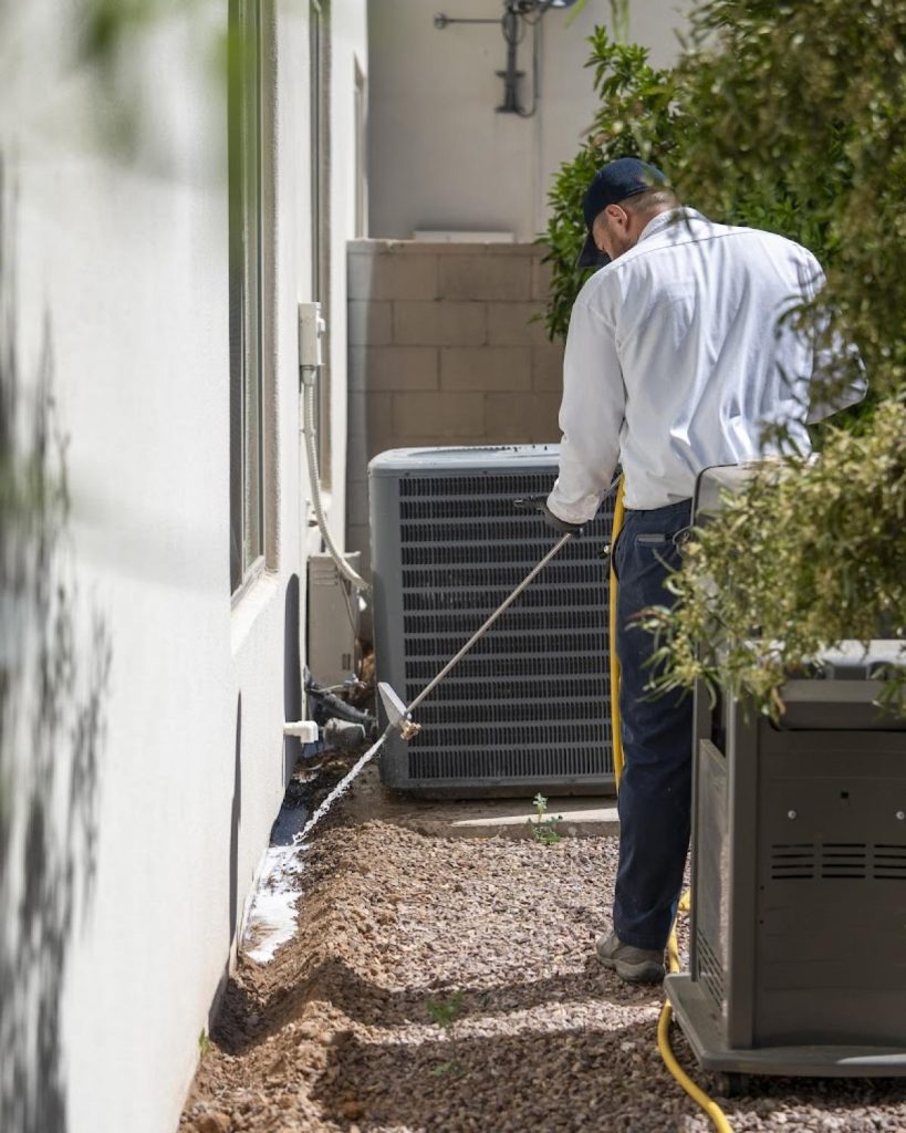 Defending Queen Creek Homes: How We Won the Battle Against Scorpions