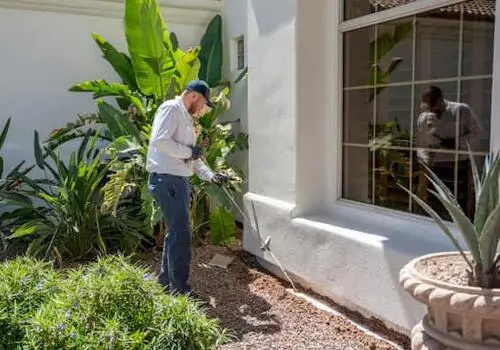 The Best Pest Control Tips for Arizona Homeowners