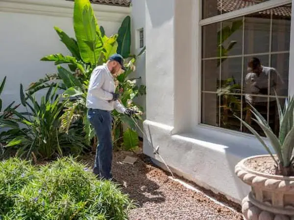 The Best Pest Control Tips for Arizona Homeowners
