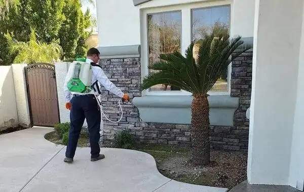 Top Signs of Pest Infestation in Arizona Homes