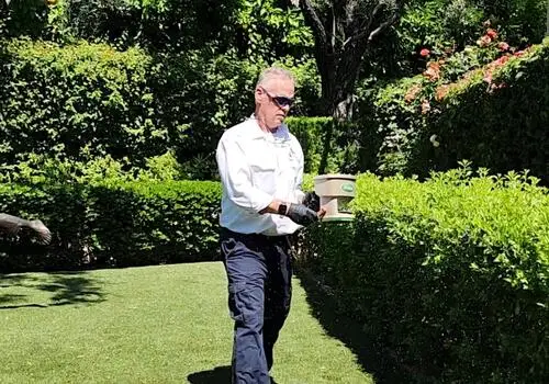 Weeds Be Gone: Our Company’s Journey to a Lush Landscape