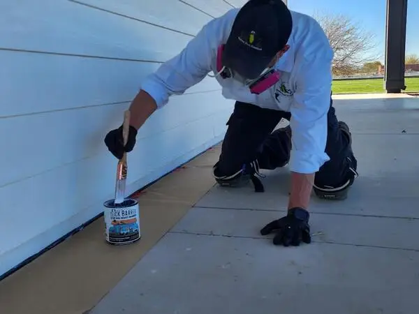 What are the most common pests in Arizona homes?