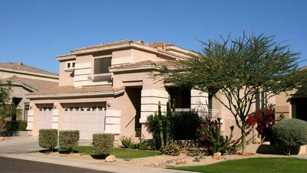 Year-Round Pest Control: What Arizona Homeowners Should Know