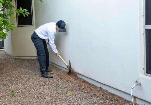 Defending Queen Creek: How we protected homes from scorpions