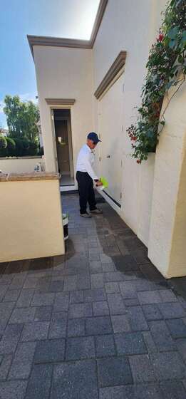Termite Bait Systems: A Smart Investment for San Tan Valley & East Valley Homes