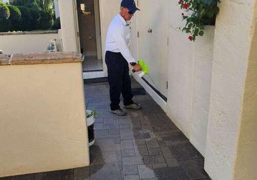 Termite Bait Systems: A Smart Investment for San Tan Valley & East Valley Homes